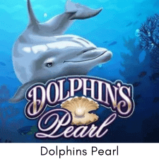 dolphins pearl table