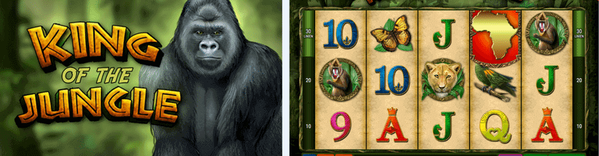 king of the jungle slot banner